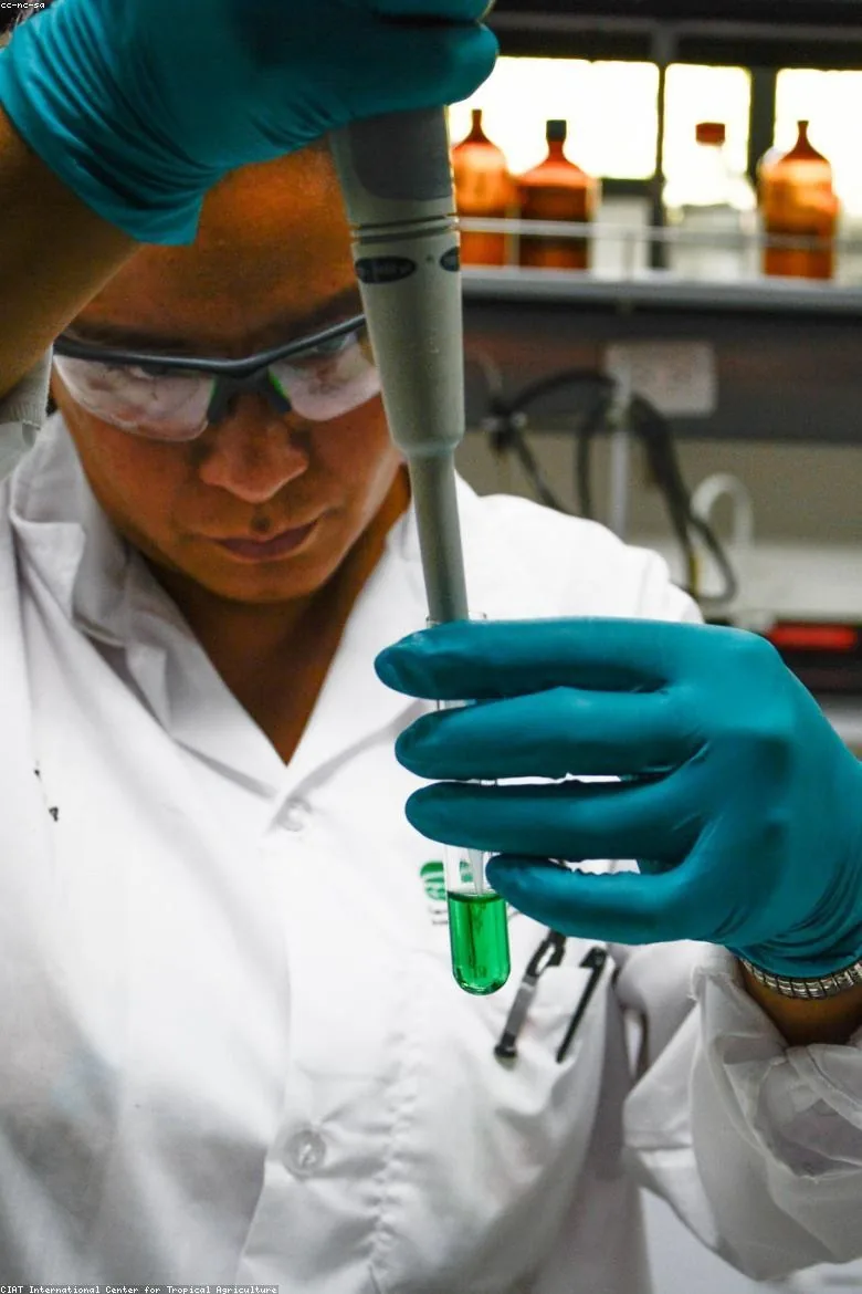 Scientist working in a laboratory
